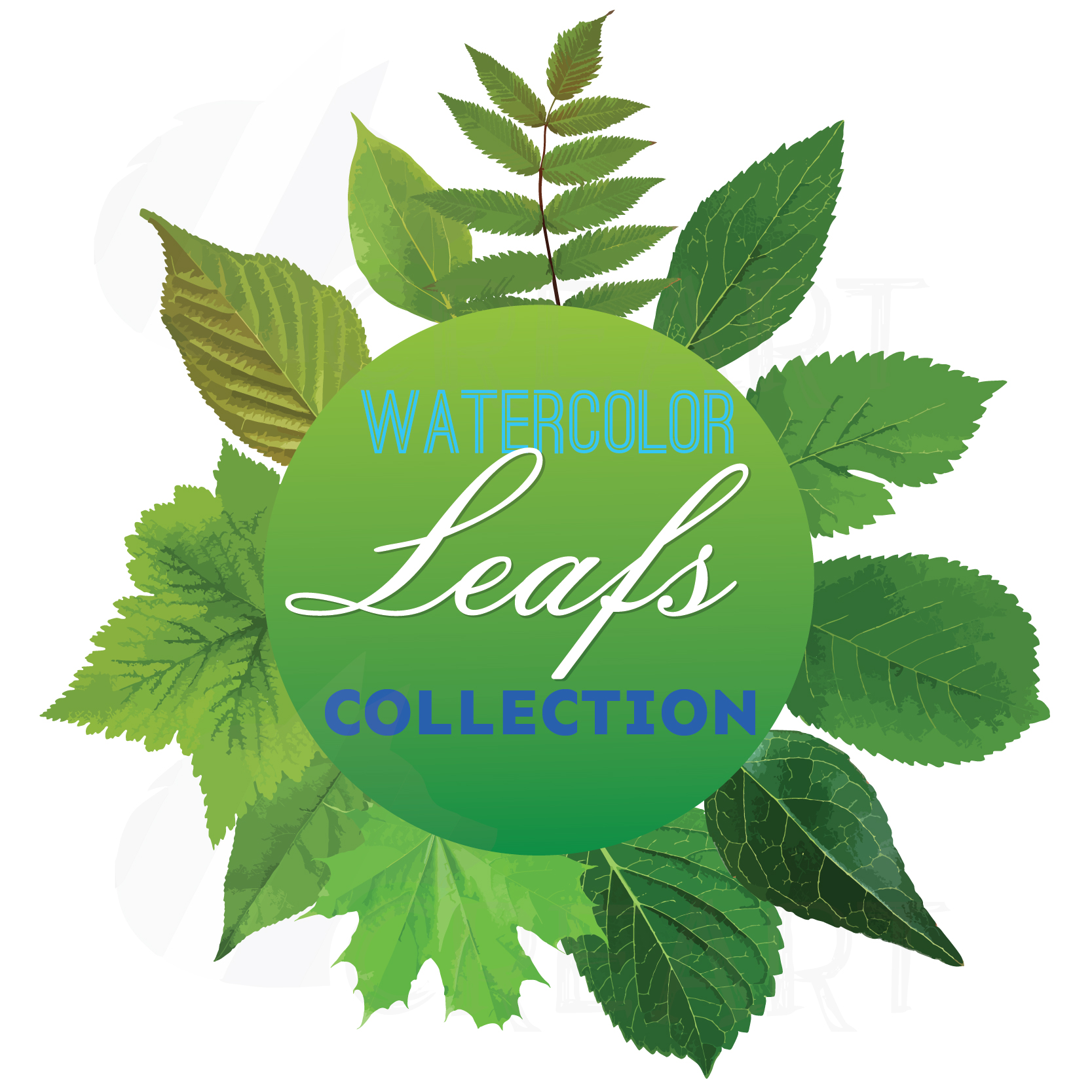 1667x1667 Watercolor Leaf Clip Art Pack Png, Pdf, Vector