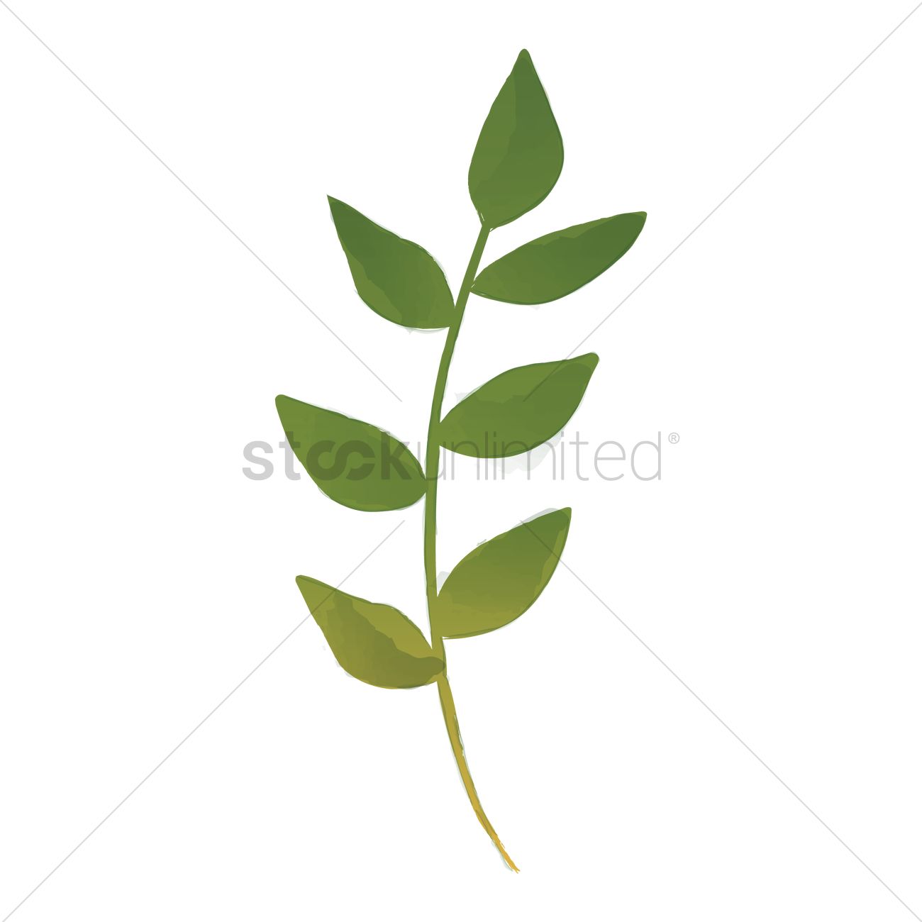 1300x1300 Watercolor Leaves Vector Image