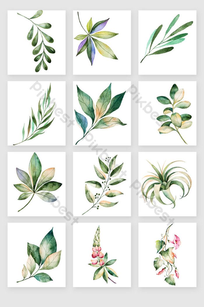 700x1053 Hand Painted Watercolor Leaves Vector Material Png Download
