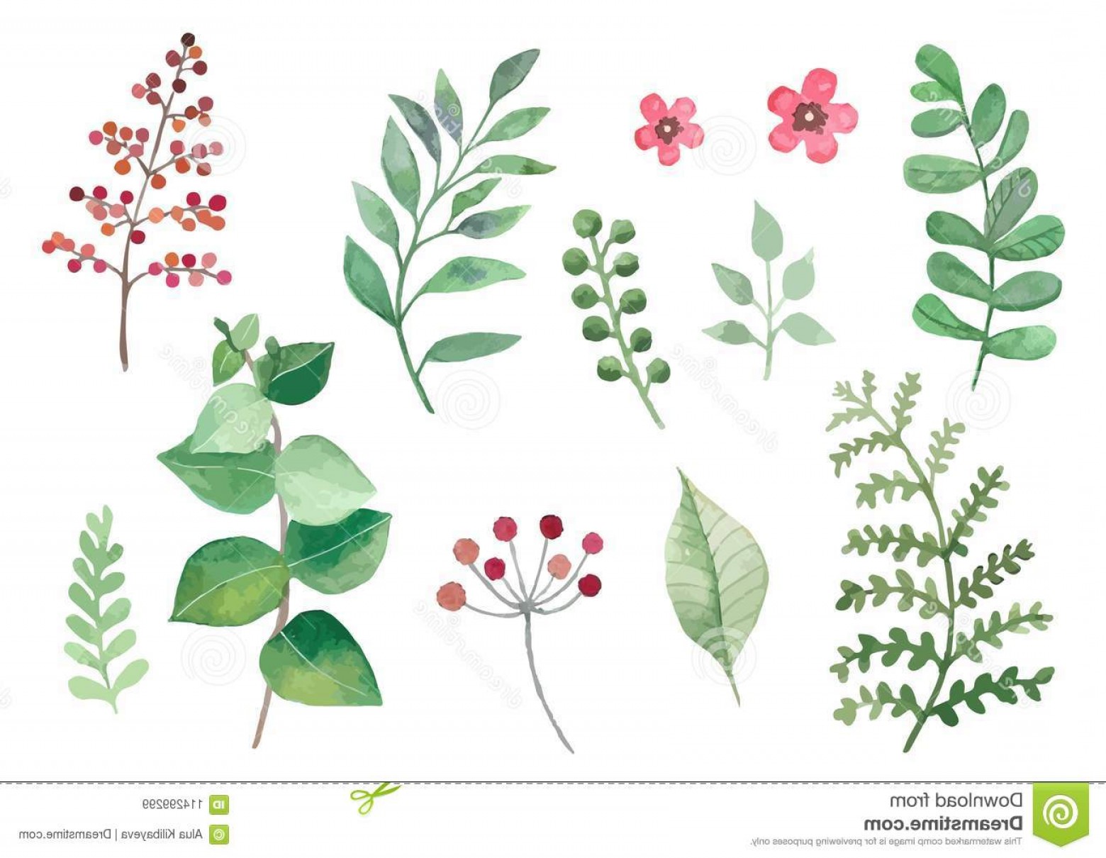 1560x1210 Flowers Plants Set Watercolour Vectors Leaves Branches Set Vector