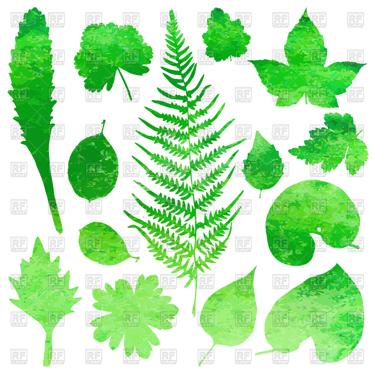 1200x1200 Green Garden Watercolor Leaves Vector Image Of Plants And Animals
