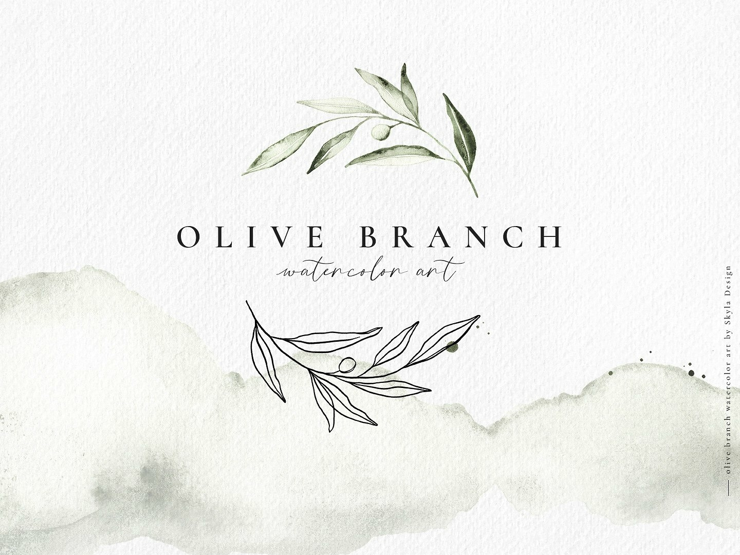1440x1080 Olive Branch Watercolor Line Art