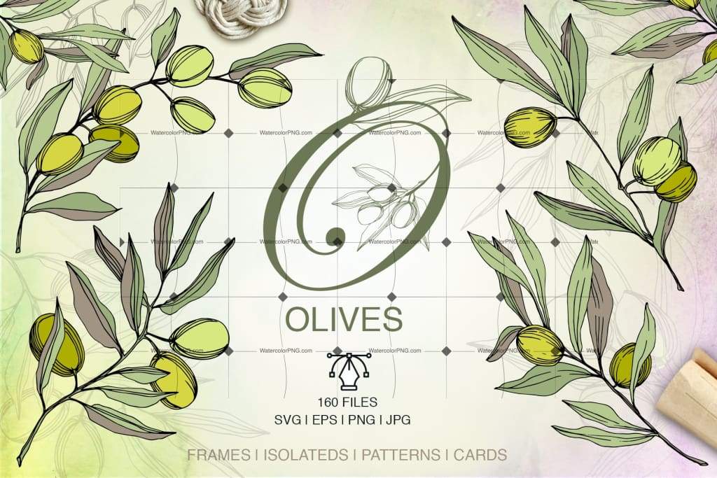 1024x683 Vector Of Olives Watercolorpng