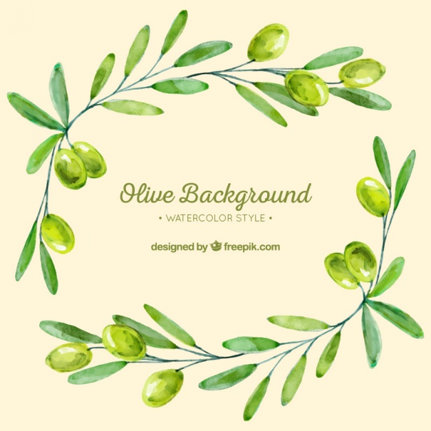 626x626 Watercolor Olive Vectors, Photos And Free Download