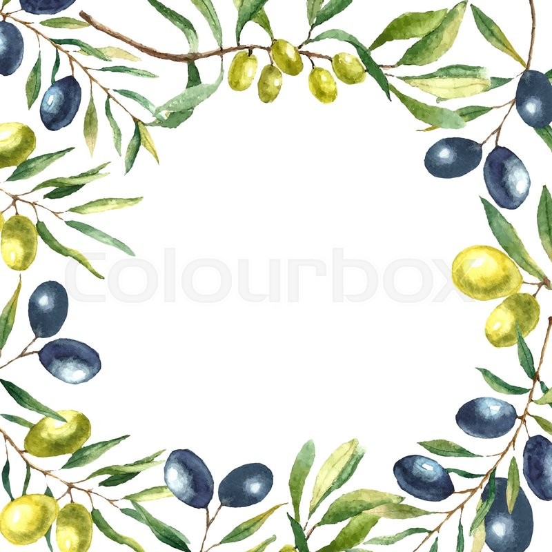 800x800 Watercolor Olive Branch Background Stock Vector Colourbox