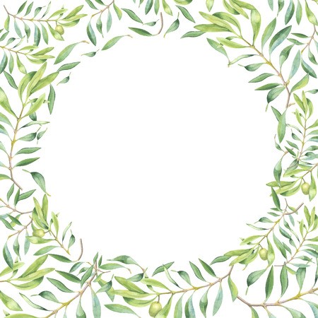 450x450 Green Watercolor Olive Branch Frame On White Background Royalty