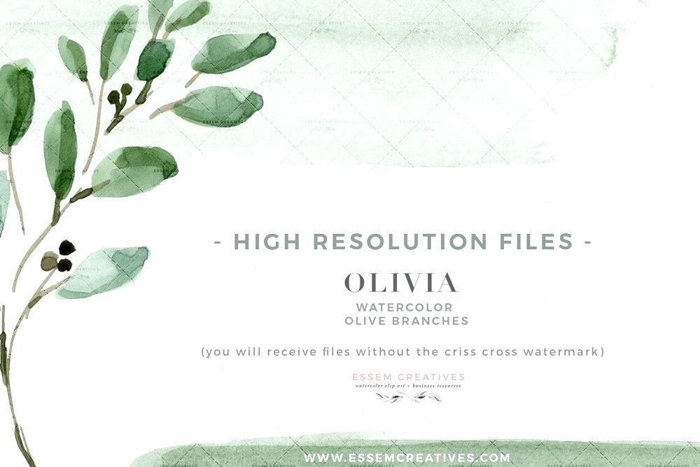 1000x667 Olive Branch Wreath Kajitsun