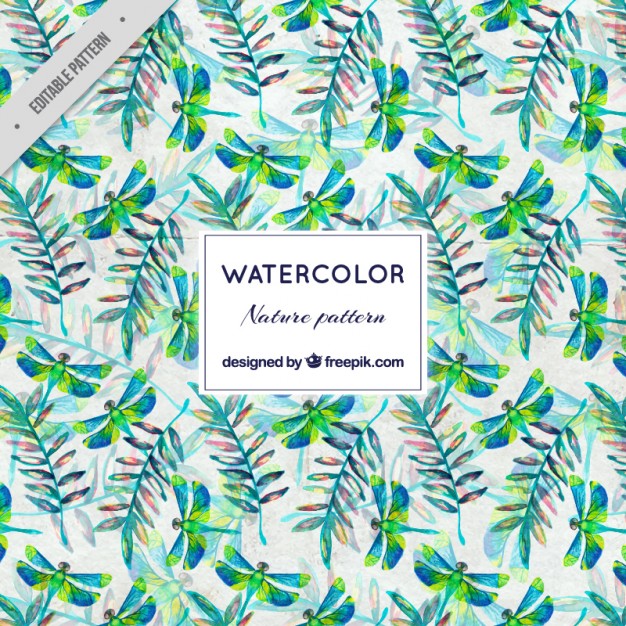 Watercolor Dragonfly With Leaves Pattern Vector Free Download 626x626 Watercolor Dragonfly With Leaves Pattern Vector Free Download
