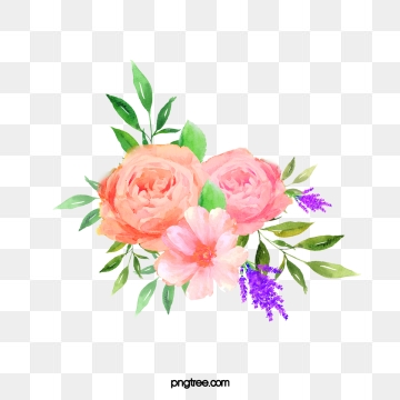 360x360 Peony Png, Vector, And Clipart With Transparent Background