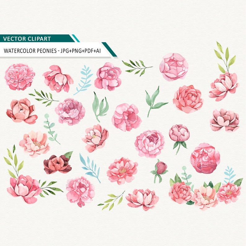 794x794 Peony Watercolor Clipart Peonies Vector Wedding Clipart Etsy