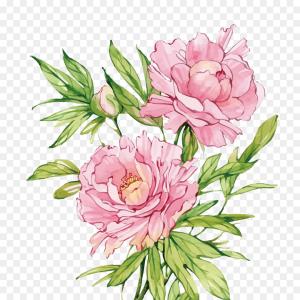 300x300 Pink Watercolor Peonies Vector Illustration Createmepink
