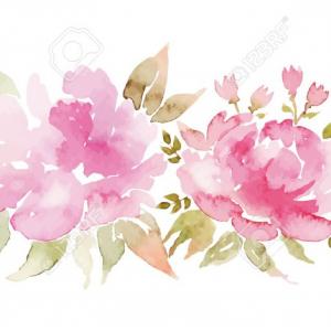 300x300 Pink Watercolor Peonies Vector Illustration Soidergi
