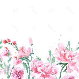 300x300 Stock Illustration Floral Seamless Watercolor Border Peonies