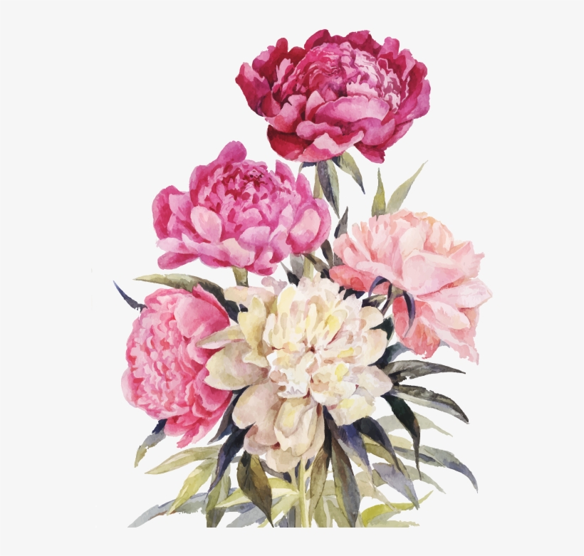 820x781 Bouquet Vector Watercolor
