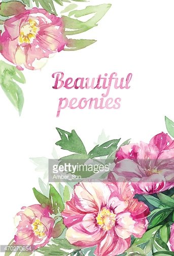 343x503 Vector Watercolor Peony Illustration Stock Vectors