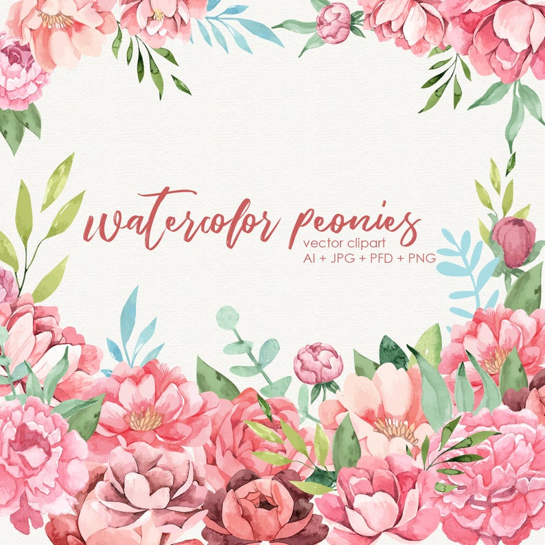794x794 Watercolor Peonies Clipart Vector Peony Clip Art For Etsy