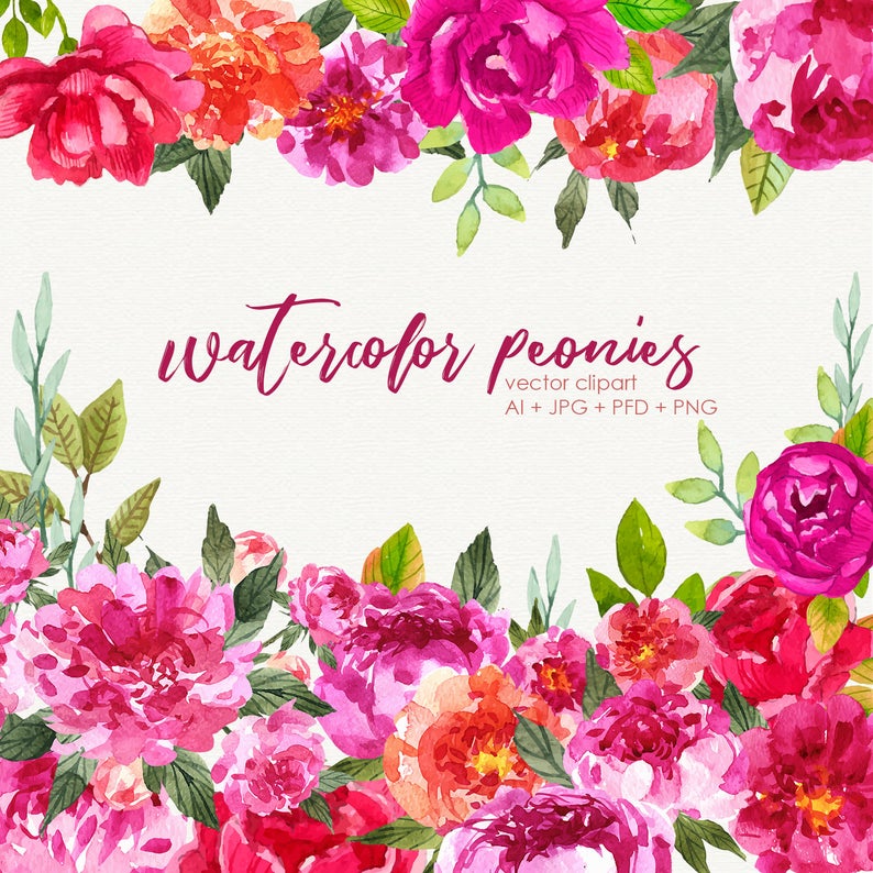 794x794 Watercolor Peony Clipart Vector Peonies Clip Art For Etsy