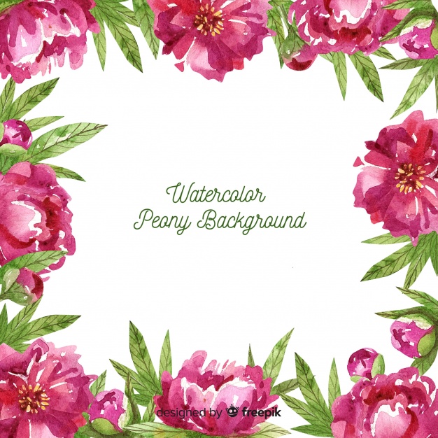 626x626 Elegant Watercolor Peony Flowers Background Vector Free Download