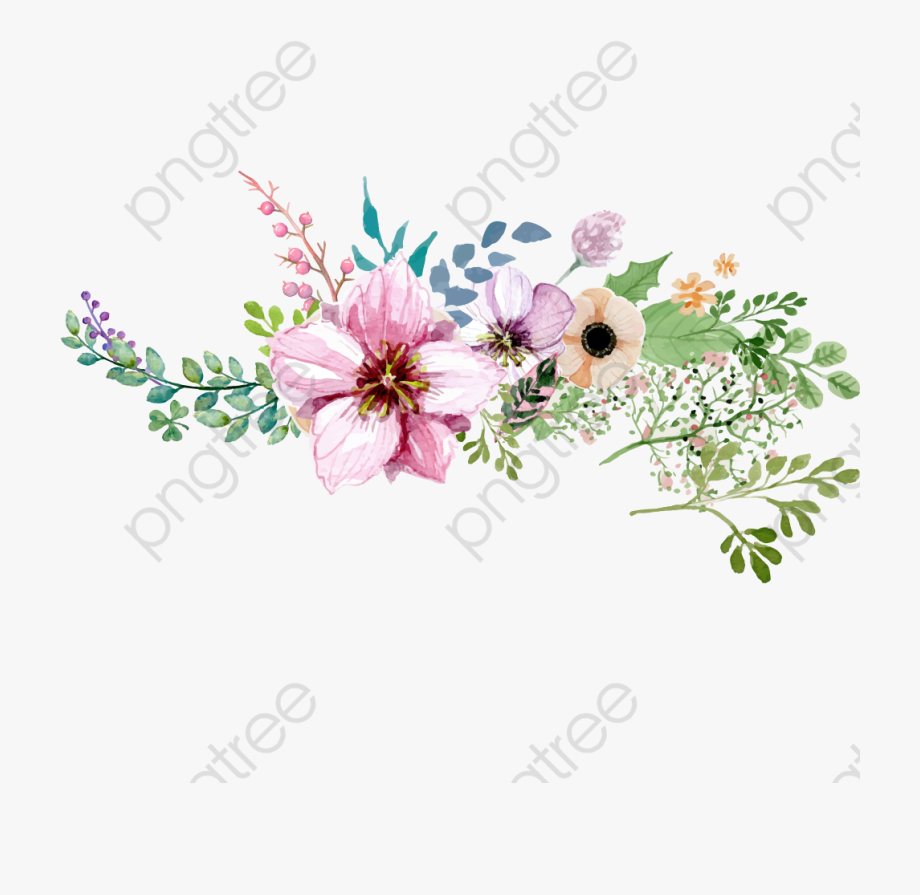 920x895 Flower Clipart Png Watercolor