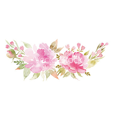 380x400 Peonies Watercolor Vector Art