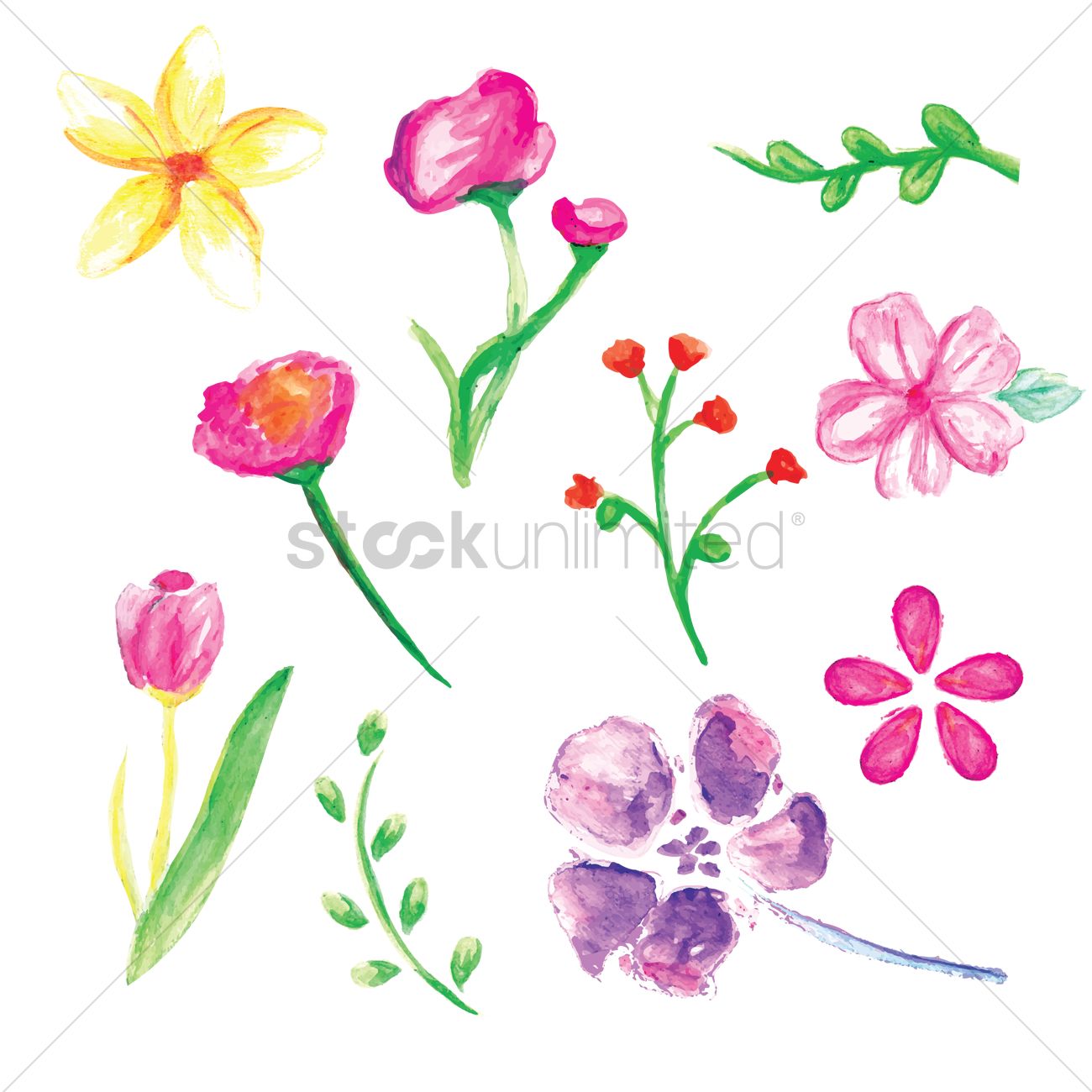 Watercolor Rose Vector at Vectorified.com | Collection of Watercolor
