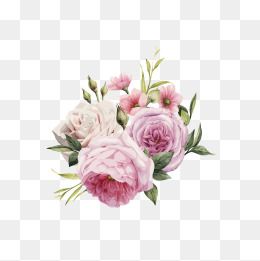 260x261 Millions Of Png Images, Backgrounds And Vectors For Free Download