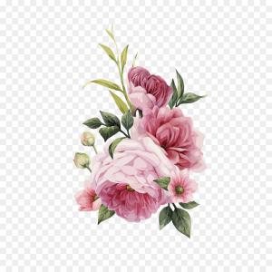 300x300 Photostock Vector Watercolor Roses Vector Beautiful Detailed