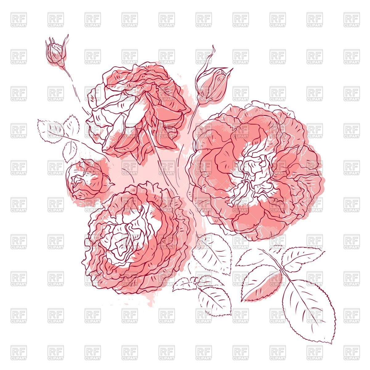 1200x1200 Pink Watercolor Roses Vector Image Of Plants And Animals Katyau
