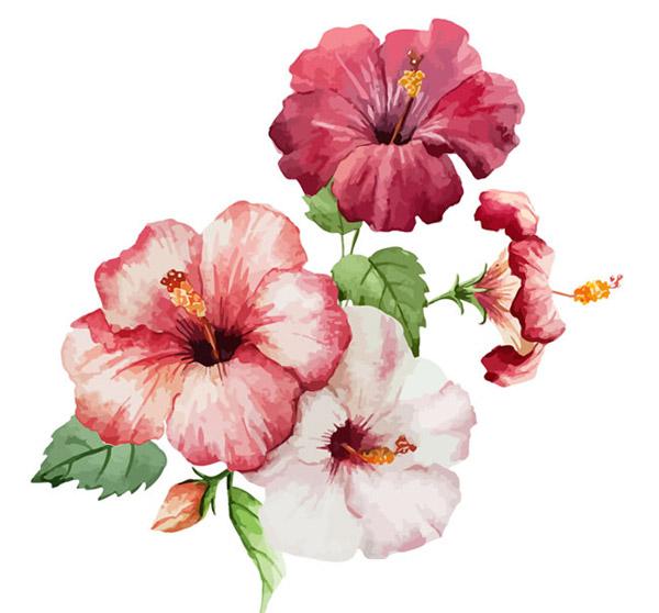 600x558 Watercolor Flowers Vector