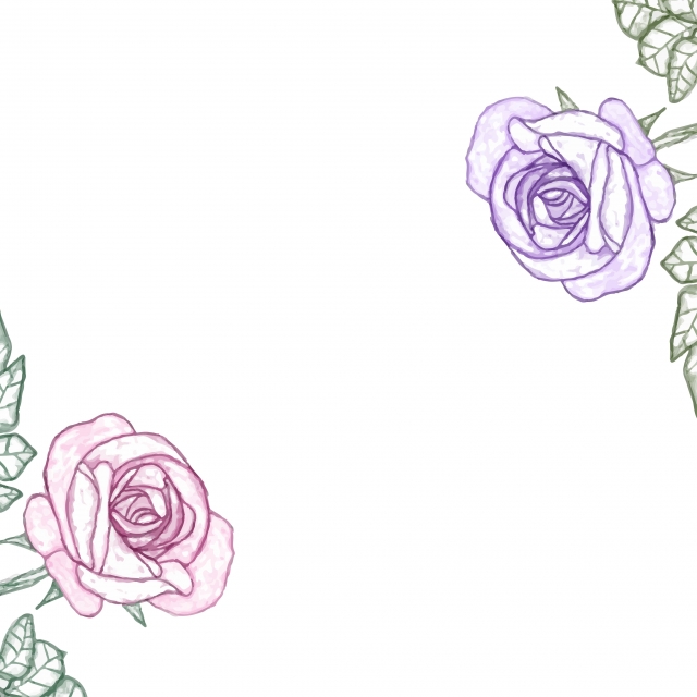 640x640 White Background With Watercolor Rose, Flower, Background