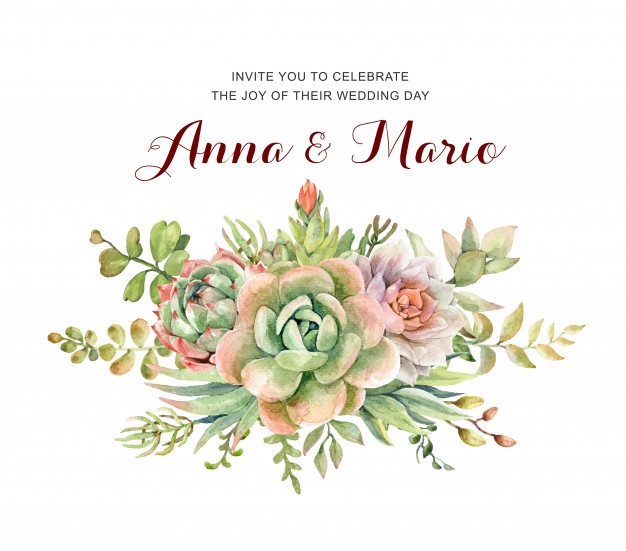 626x551 Succulent Vectors, Photos And Free Download