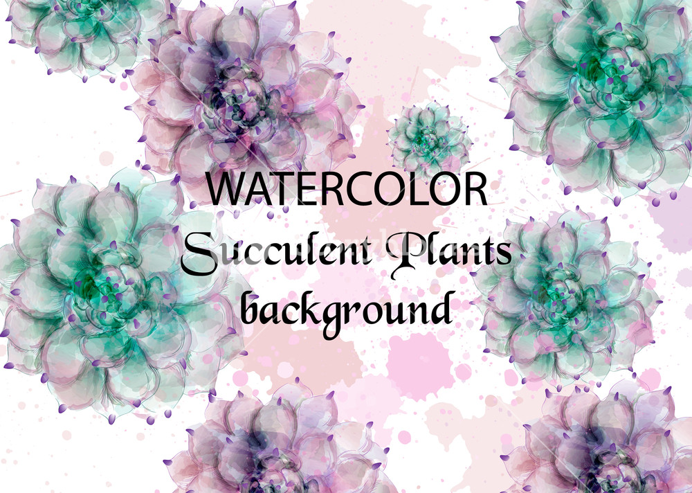 1000x712 Succulent Plants Watercolor Tropic Palm Vector Exotic Summer