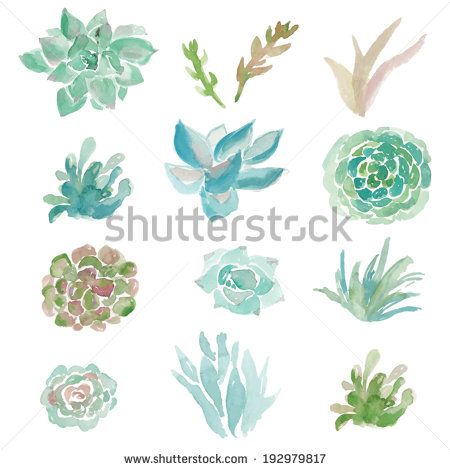 Watercolor Succulent Vector at Vectorified.com | Collection of ...