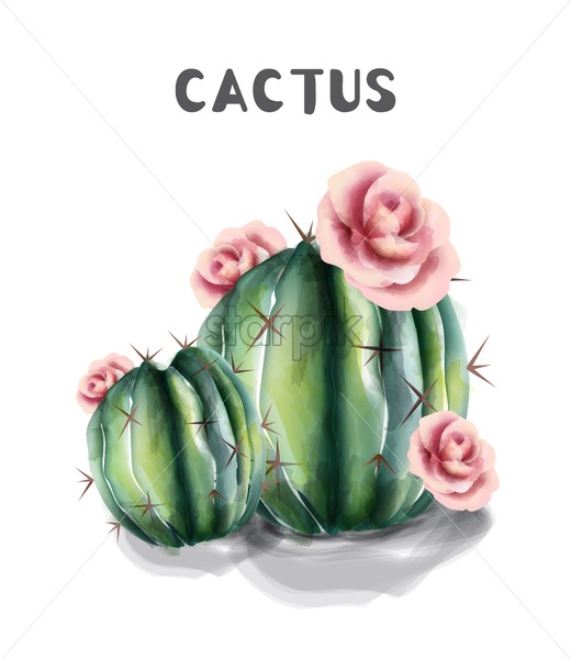 520x600 Cactus And Flowers Isolated Vector Watercolor Succulent Summer