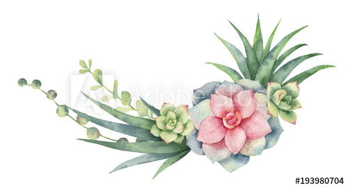 500x271 Watercolor Vector Wreath Of Cacti And Succulent Plants Isolated