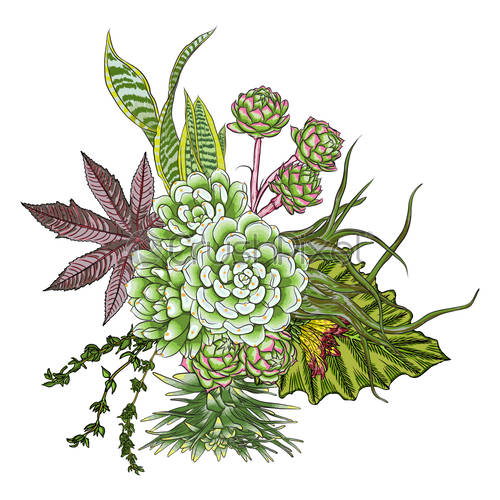 Watercolor Succulent Vector at Vectorified.com | Collection of ...