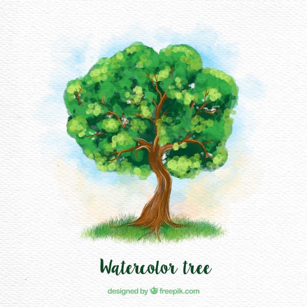 626x626 Green Watercolor Tree Vector Free Download