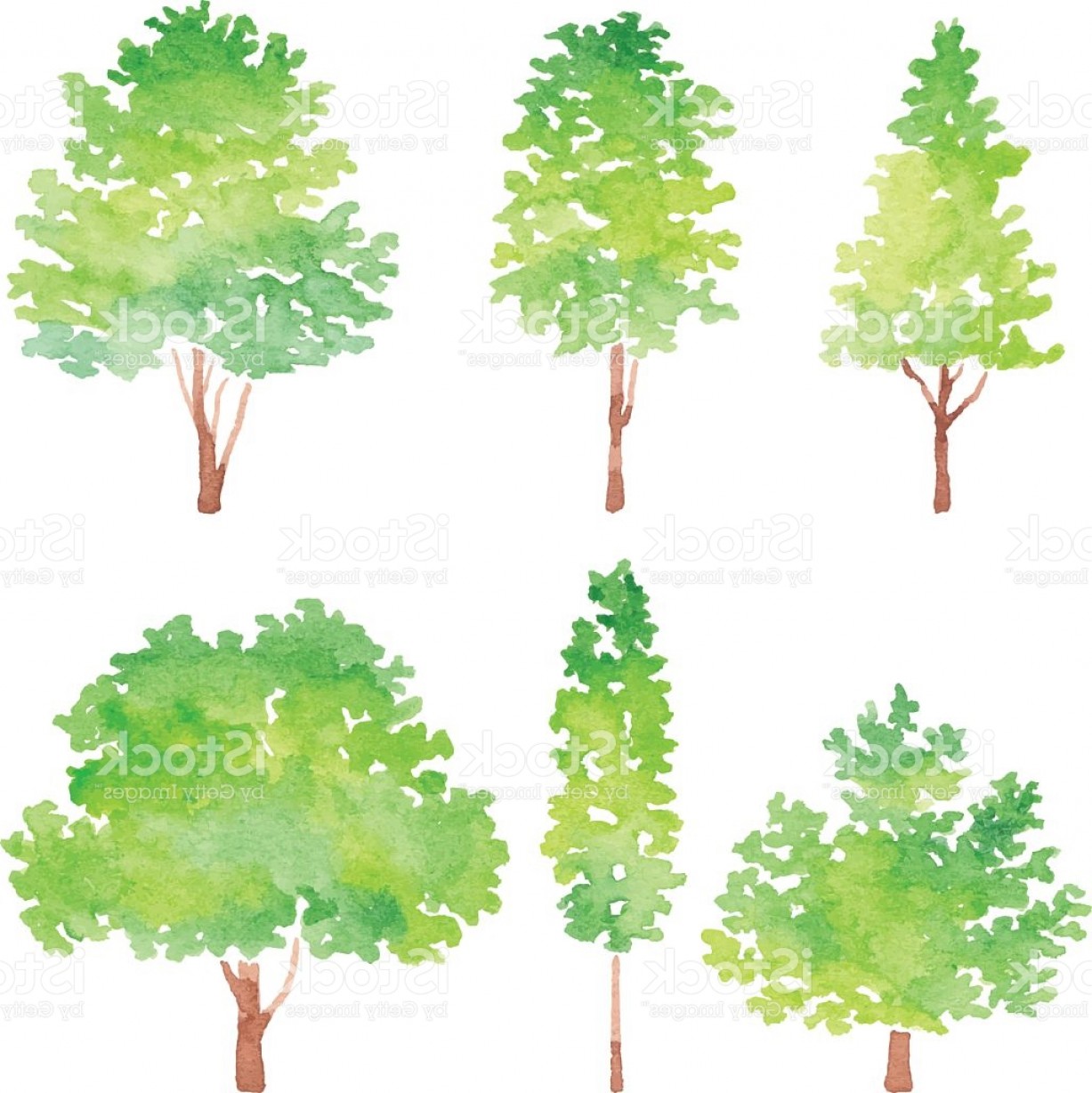 1227x1228 Set Of Trees Watercolor Gm Geekchicpro
