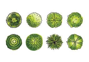 286x200 Watercolor Tree Free Vector Art