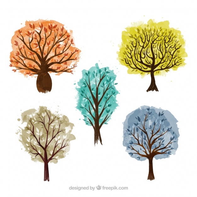 626x626 Watercolor Tree Vectors, Photos And Free Download