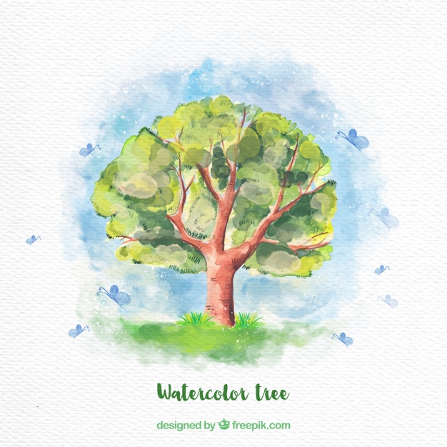 626x626 Watercolor Tree Background Vector Free Download