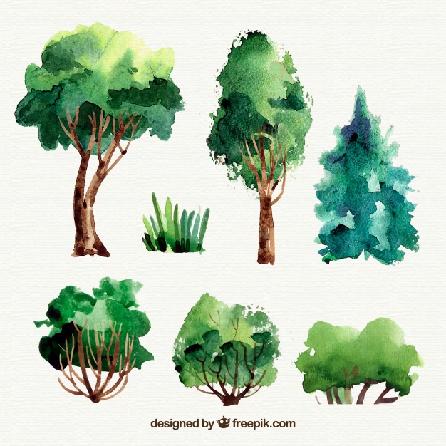 626x626 Beautiful Watercolor Tree Collection Vector Free Download