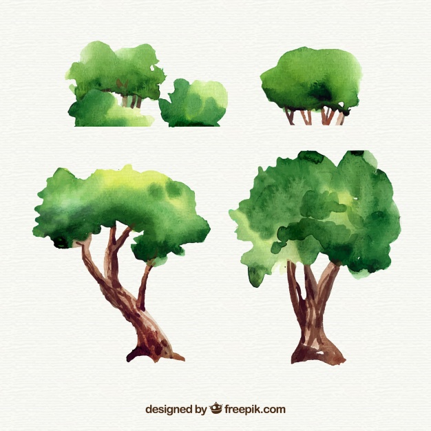 626x626 Watercolor Tree Collection Vector Free Download