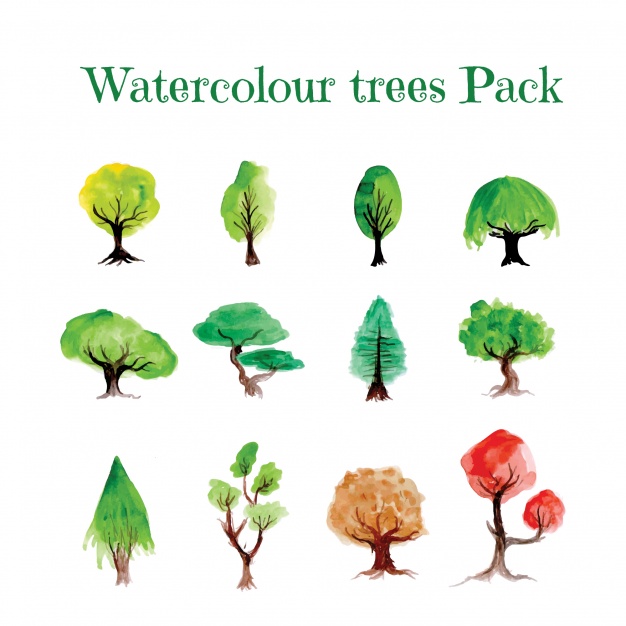 626x626 Watercolor Trees Pack Vector Free Download