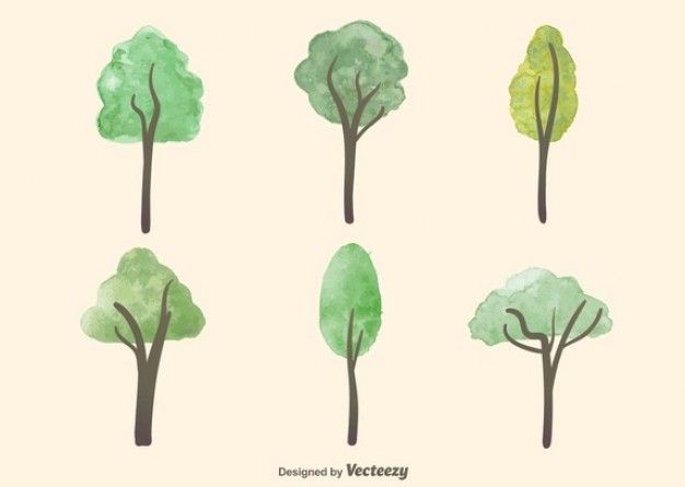 626x445 Watercolour Hand Drawn Trees A Vector Trees, How To Draw Hands