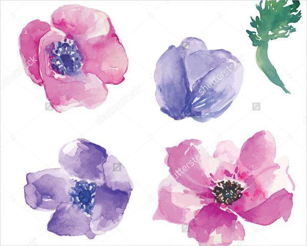Watercolor Vector