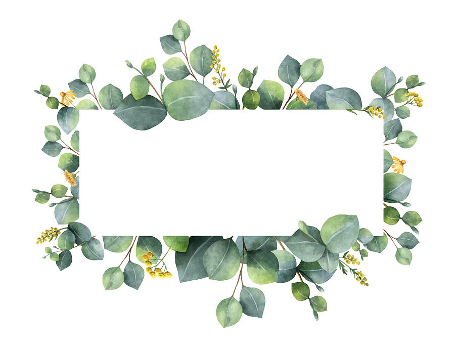 900x692 Watercolor Vector Wreath With Green Eucalyptus Leaves And Branches