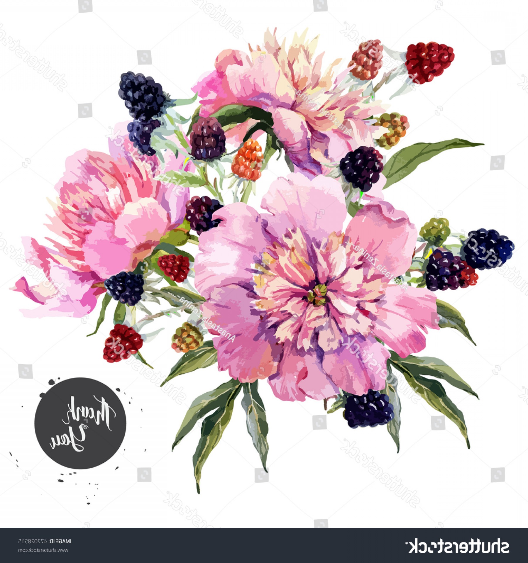 1800x1920 Watercolor Vector Floral Botanical Card Flower Soidergi