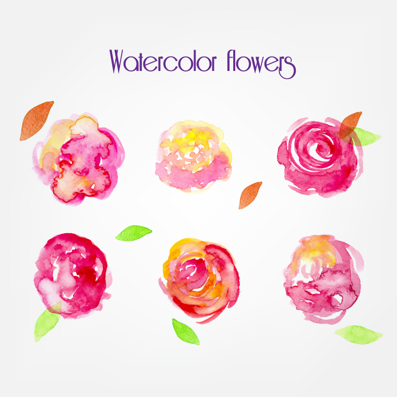 800x800 Watercolor Vector Flowers