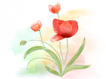 350x263 Dagubi Tutorial